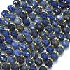 Natural Sodalite Beads Strands G-K389-E74-01B-1