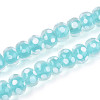 Handmade Lampwork Beads LAMP-T022-12C-1