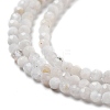 Natural Rainbow Moonstone Beads Strands G-G161-A01-01-4