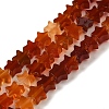 Natural Carnelian Beads Strands G-G085-B35-02-1