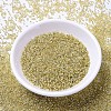 MIYUKI Delica Beads SEED-X0054-DB1212-2