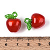 Korea Acrylic Pendants X-OACR-L009-H02-2