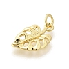 Brass Pendants KK-L225-030G-2