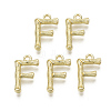 Alloy Pendants PALLOY-S137-001F-NR-2