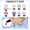 60pcs 6 colors Frosted Resin Flower Cabochons CRES-TA0001-27-3
