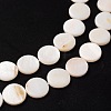 Natural White Shell Beads Strands X-PBB251Y-2-3