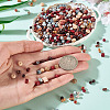 227Pcs Glass Seed Beads SEED-TA0001-58C-6