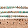 Natural Imperial Jasper Beads Strands G-L578-A13-3