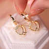 Alloy Clear Cubic Zirconia Dangle Earrings FS-WGAEA82-01-3