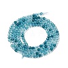 Transparent Glass Beads Strands X-GLAA-H027-01E-3