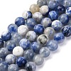 Natural Sodalite Beads Strand GSR8mmC013-4