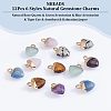  12Pcs 6 Styles Natural Gemstone Charms G-NB0003-74-5