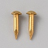 100Pcs Round End Brass Furniture Nail Tacks KK-WH0056-74-1
