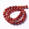 Natural Red Agate Beads Strands G-P434-09C-A-1