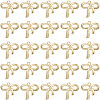 100Pcs Rack Plating Alloy Pendant FIND-SC0012-66-1