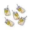 Transparent Printed Acrylic Pendants TACR-G042-01D-4