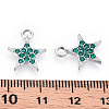 Platinum Plated Alloy Charms PALLOY-T073-06P-01-RS-3