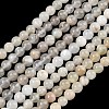 Natural White Moonstone Beads Strands G-C277-A01-6mm-2