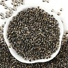 Transparent Inside Colours Glass Seed Beads SEED-A032-04M-2