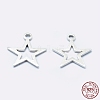 925 Sterling Silver Charms STER-I014-17S-1