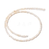 Natural Freshwater Shell Beads Strands X-SHEL-P017-01B-02-2