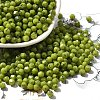 Baking Paint Glass Seed Beads X1-SEED-A032-02A-07-1