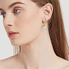 20 Pairs 2 Colors Brass Leverback Earring Findings KK-SC0007-43-5