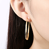 Brass Big Hoop Earrings EJEW-BB16613-G-7