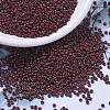 MIYUKI Round Rocailles Beads SEED-G007-RR4513-1