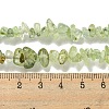 Natural Prehnite Beads Strands G-P332-41A-4