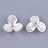 Cellulose Acetate(Resin) Bead Caps KK-S161-04A-2