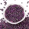 Glass Seed Beads SEED-A032-06Y-2