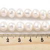 Natural Cultured Freshwater Pearl Beads Strands PEAR-C003-16E-5