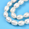Natural Cultured Freshwater Pearl Beads Strands PEAR-N012-07V-01-4