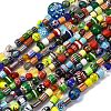 Handmade Lampwork Beads Strands LAMP-R003-05-1