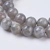 Natural Labradorite Beads Strands G-G212-8mm-23-3