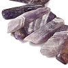 Natural Amethyst Beads Strands G-S386-D16-4