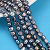 Natural Cultured Freshwater Pearl Beads Strands PEAR-P064-20A-03B-1