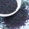 MIYUKI Round Rocailles Beads X-SEED-G007-RR0333-1