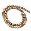 Natural Picture Jasper Beads Strands G-I378-A01-3