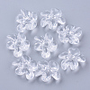 Transparent Acrylic Beads TACR-N006-01A-2