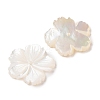 Natural White Shell Beads SSHEL-C012-23B-2