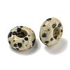 Natural Dalmatian Jasper Beads X-G-Q173-03A-24-2