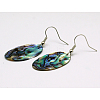 Natural Abalone Shell/Paua ShellEarrings EJEW-Q161-01-1