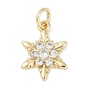 Rack Plating Brass Micro Pave Cubic Zirconia Pendants LS-KK-H509-12G-02-1