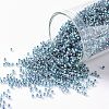 TOHO Round Seed Beads X-SEED-TR15-0263-1