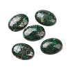 Natural Malachite Cabochons G-E464-42U-1