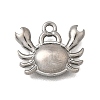 Ocean Series 304 Stainless Steel Charms STAS-H477-01B-P-1