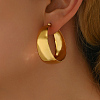 304 Stainless Steel Hoop Earrings for Women RH3745-2-2
