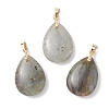 Natural Labradorite Pendants PALLOY-JF04953-1